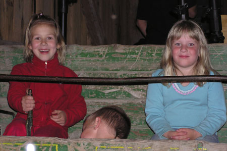 Stadlparty (37)
